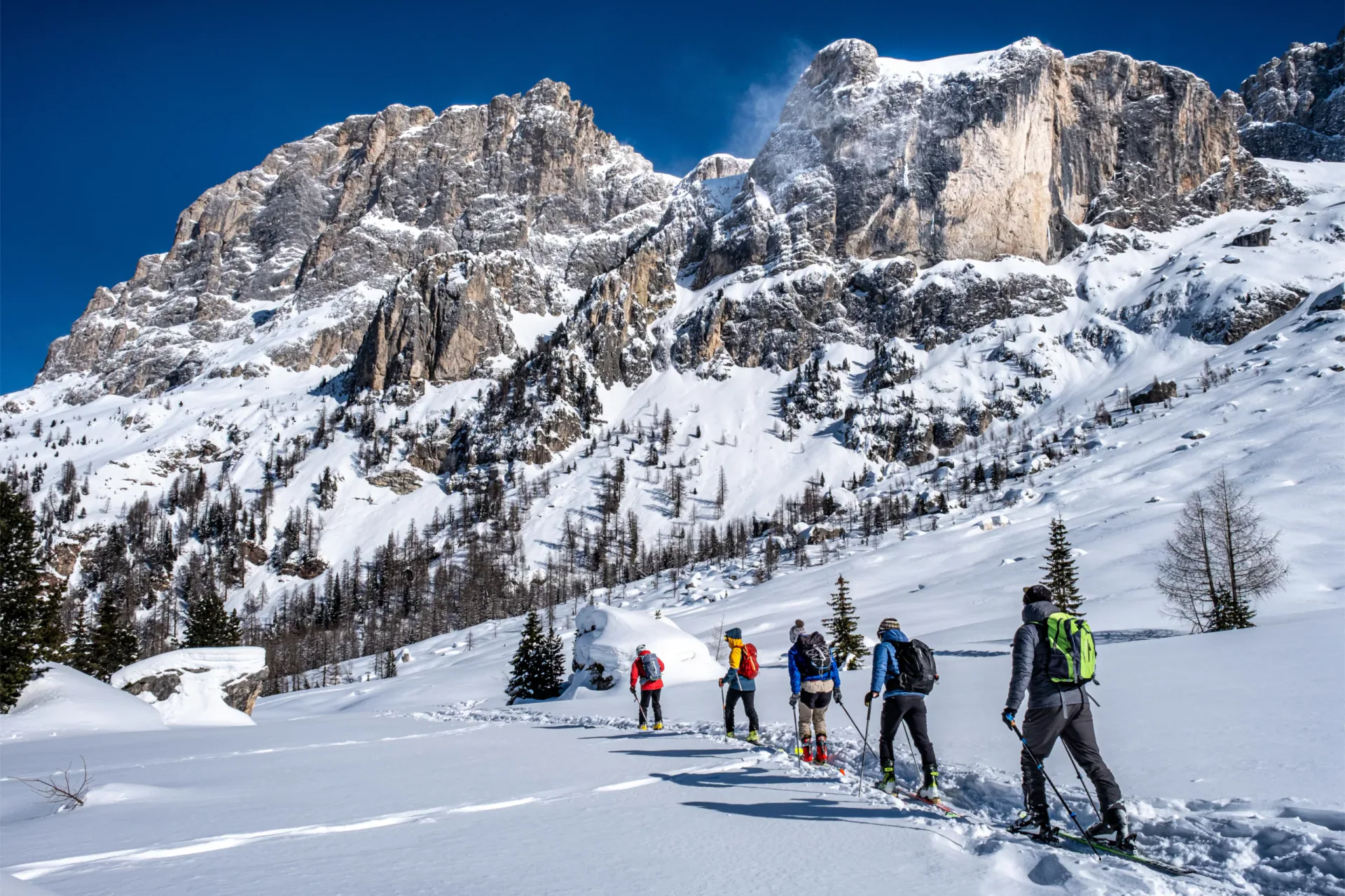 Back view of a group of people ski touring in single file across a pristine snowy landscape towards majestic vertical rock peaks in the Italian Dolomites under a clear blue sky.
