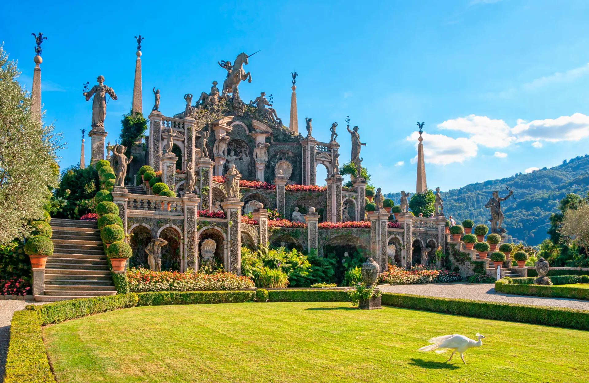 A rare white peacock walking on a green lawn in front of the ornate Teatro Massimo monument in the terraced gardens of Isola Bella, Lake Maggiore. The structure features statues, obelisks, and mythological figures against a blue sky.
