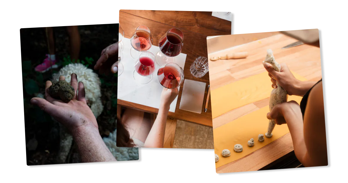 Three scenes from the Langhe: a freshly found white truffle held in a hand, glasses of red wine seen from above during a tasting, and hands shaping fresh pasta on a wooden board.
