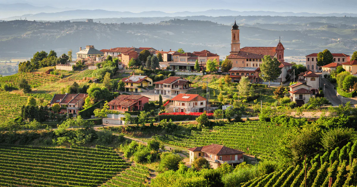 Hilltop village in the Langhe surrounded by vineyards, its bell tower rising above terracotta roofs while the Piedmont hills fade into the haze.