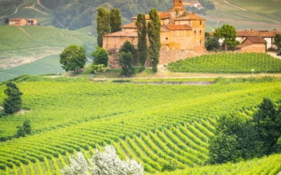The Langhe: Where the Landscape Tells the Story