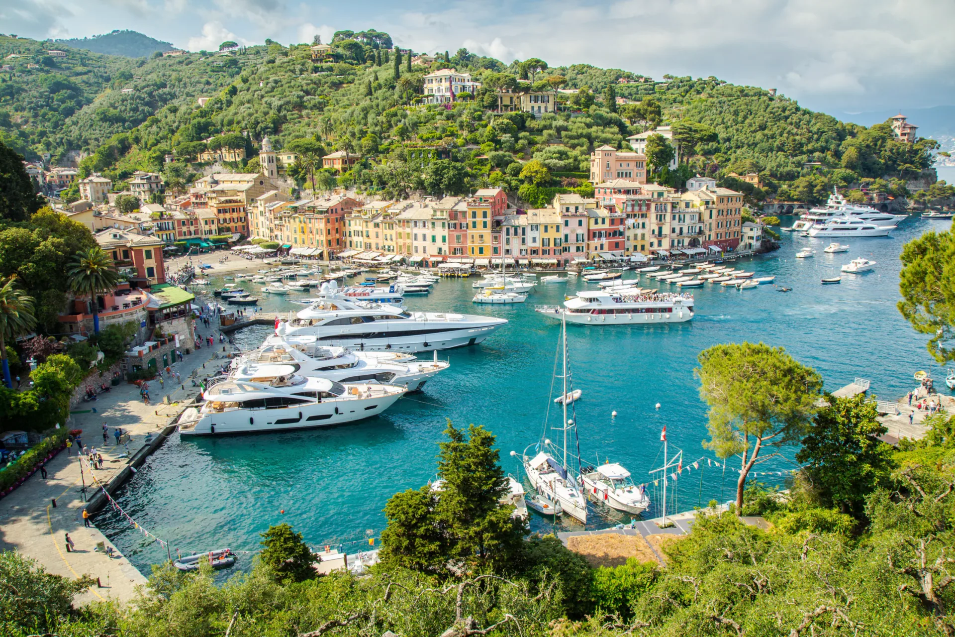 High-angle view of the famous Portofino harbor in Liguria, Italy. Luxury white superyachts are moored in the turquoise water, surrounded by traditional pastel-colored buildings and lush green hills on a sunny day.