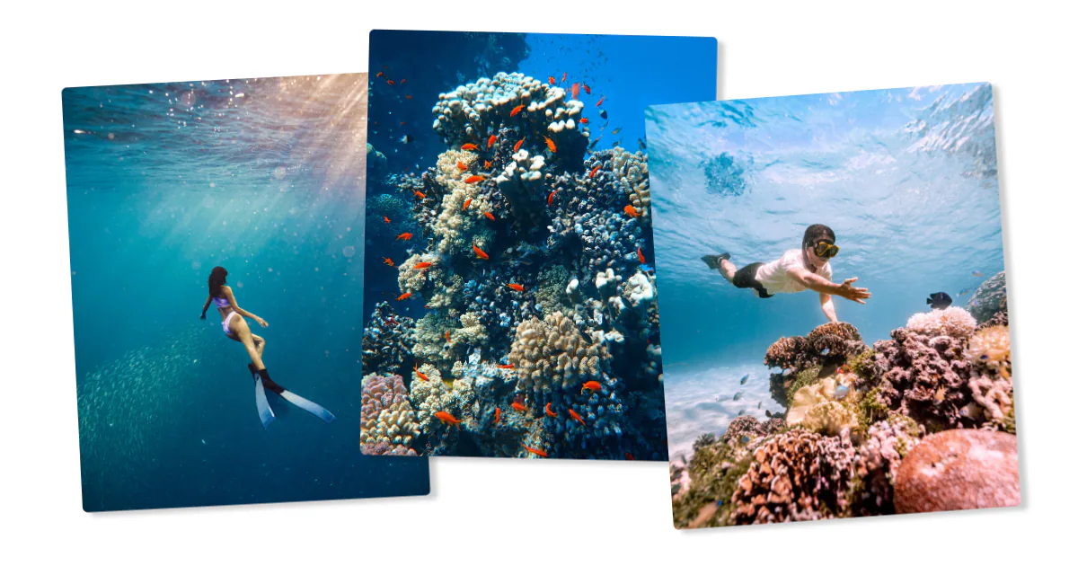 Three underwater scenes: a free diver with fins gliding through sunlit water, a coral pinnacle crowded with orange fish, and a snorkeller swimming above a reef.