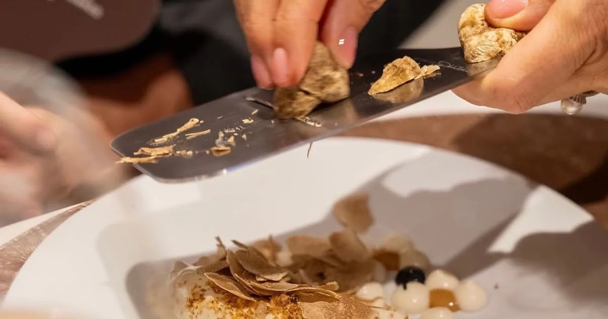 White truffle shaved over a plated dish in a Langhe restaurant, thin slices falling from the blade onto the food.
